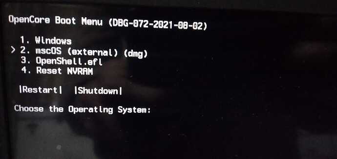 WhatsApp Image 2022-01-18 at 1.30.49 AM