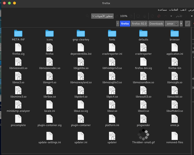 لقطة شاشة من 2021-09-17 12-12-18